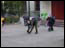 DSC01558.jpg
