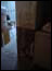 DSC01621.jpg