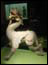 DSC01701.jpg
