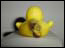 DSC01752.jpg