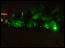 DSC01831.jpg