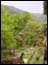 DSC01878.jpg