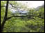 DSC01880.jpg
