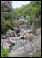DSC01881.jpg