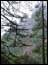 DSC01891.jpg