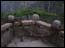 DSC01926.jpg