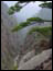 DSC02003.jpg