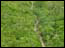 DSC02201.jpg