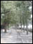 DSC02669.jpg